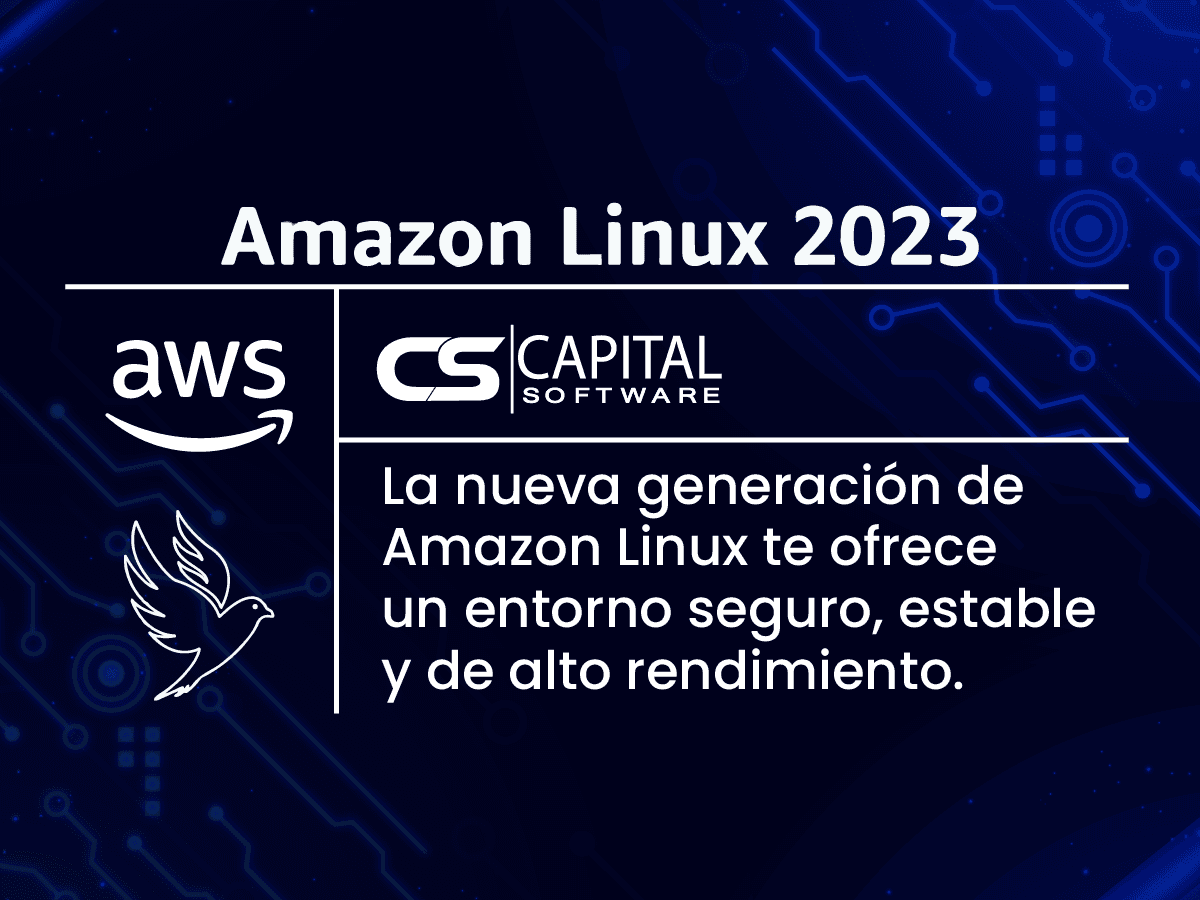 Amazon Linux 2023 Capital Software